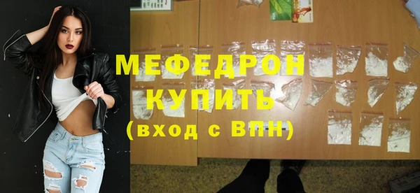 индика Вяземский