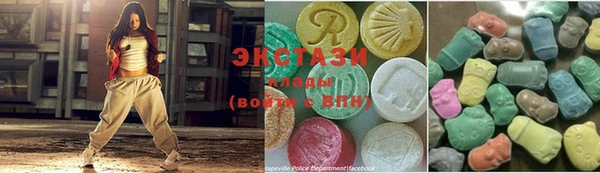 индика Вяземский