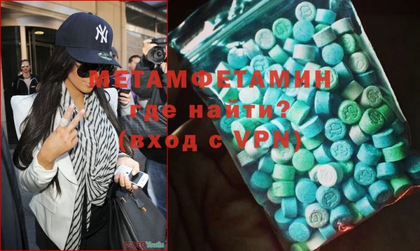 индика Вяземский