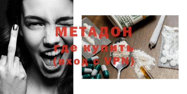 индика Вяземский