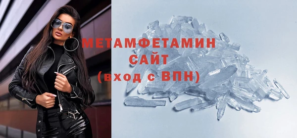 индика Вяземский