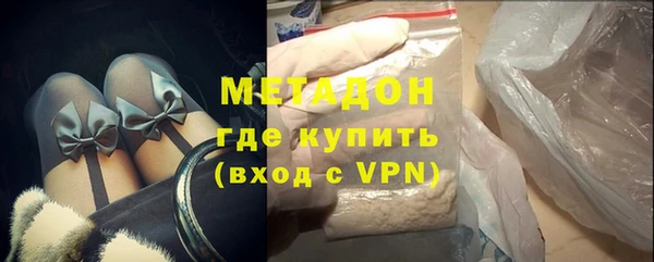 индика Вяземский