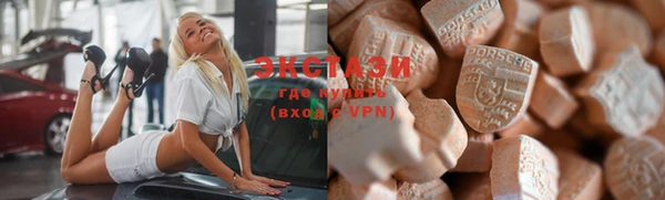 индика Вяземский