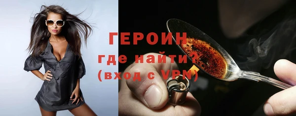 индика Вяземский