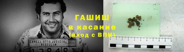 индика Вяземский