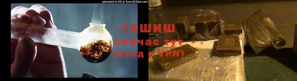индика Вяземский