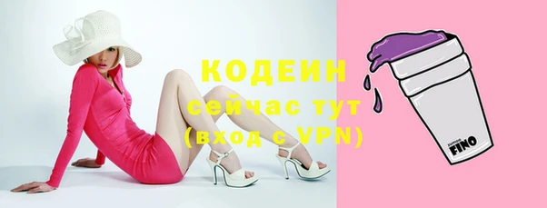 индика Вяземский
