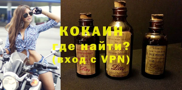 индика Вяземский