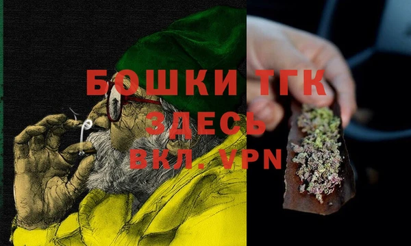 индика Вяземский