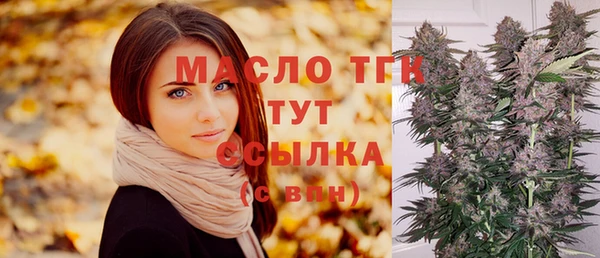 индика Вяземский