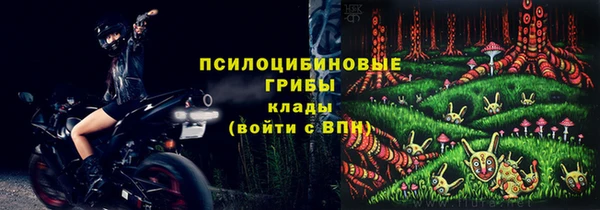 индика Вяземский