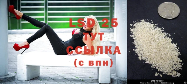 индика Вяземский