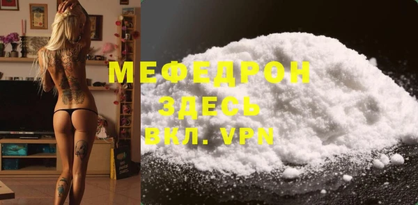 индика Вяземский