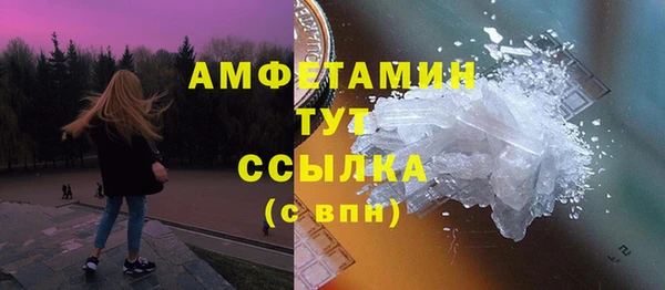 индика Вяземский